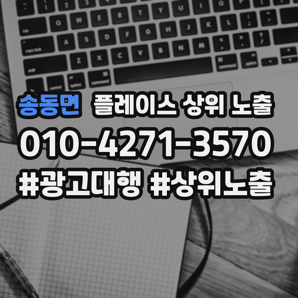 송동면 플레이스 상위 노출