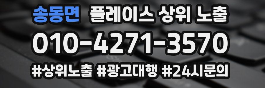 송동면 플레이스 상위 노출