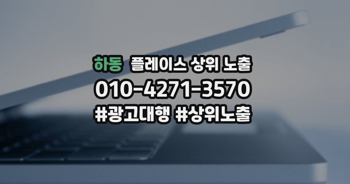 하동 플레이스 상위 노출