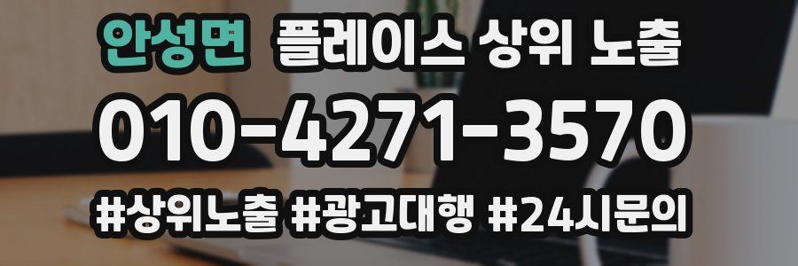 안성면 플레이스 상위 노출