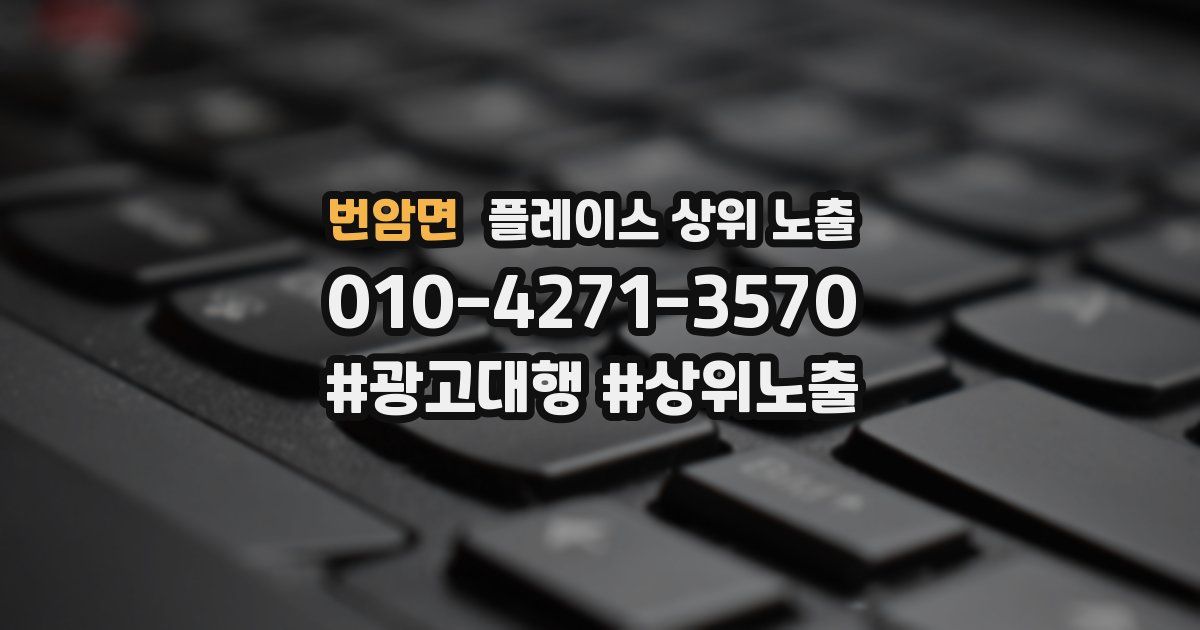 번암면 플레이스 상위 노출