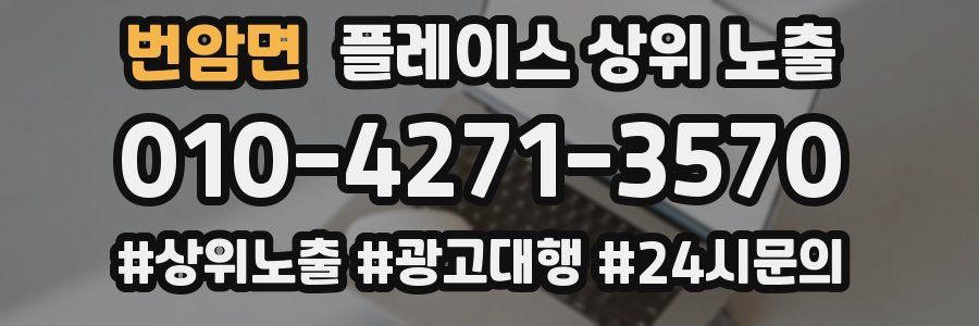 번암면 플레이스 상위 노출