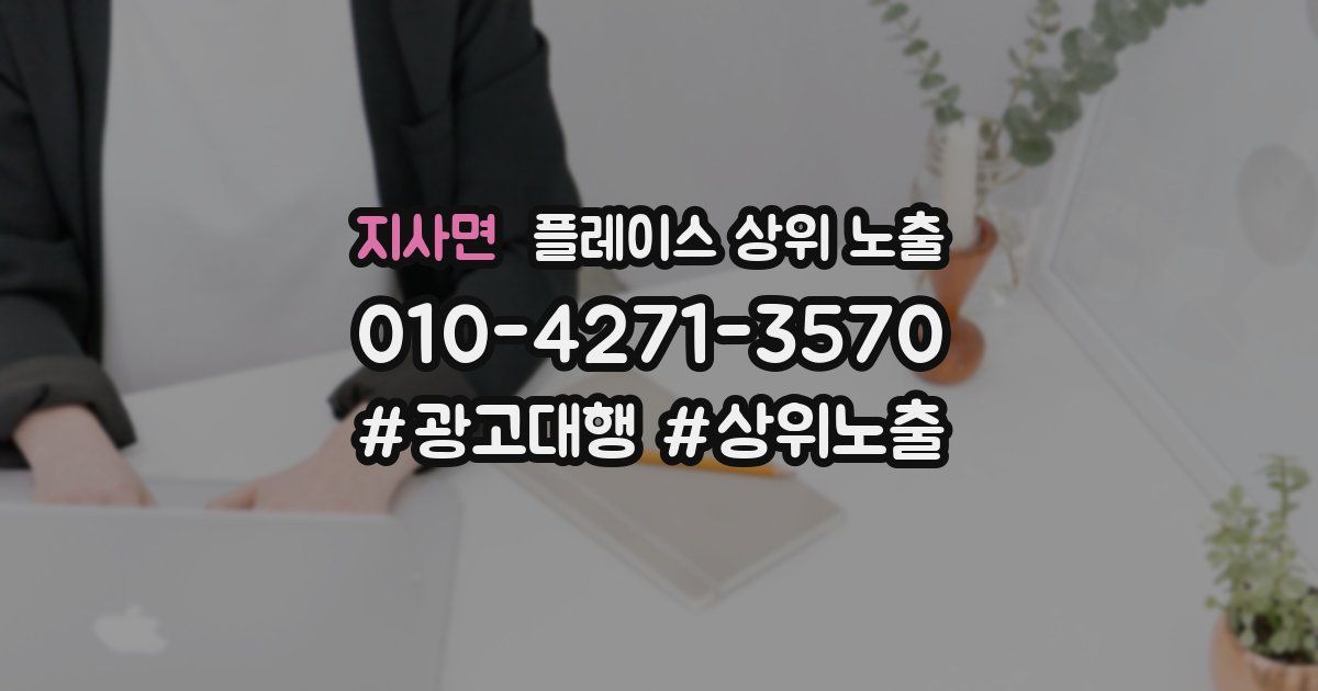 지사면 플레이스 상위 노출