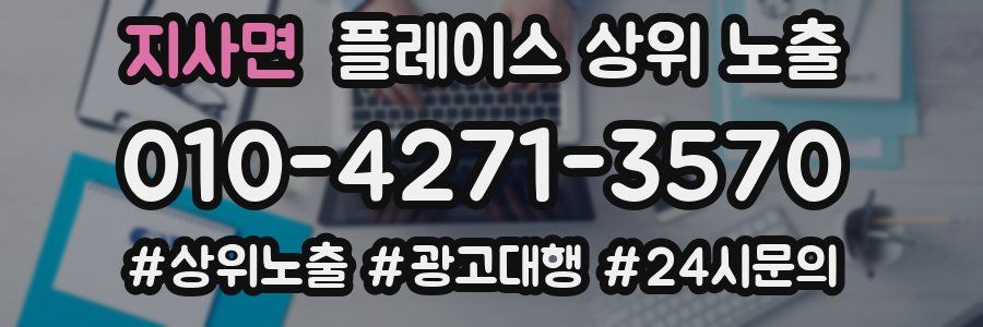 지사면 플레이스 상위 노출