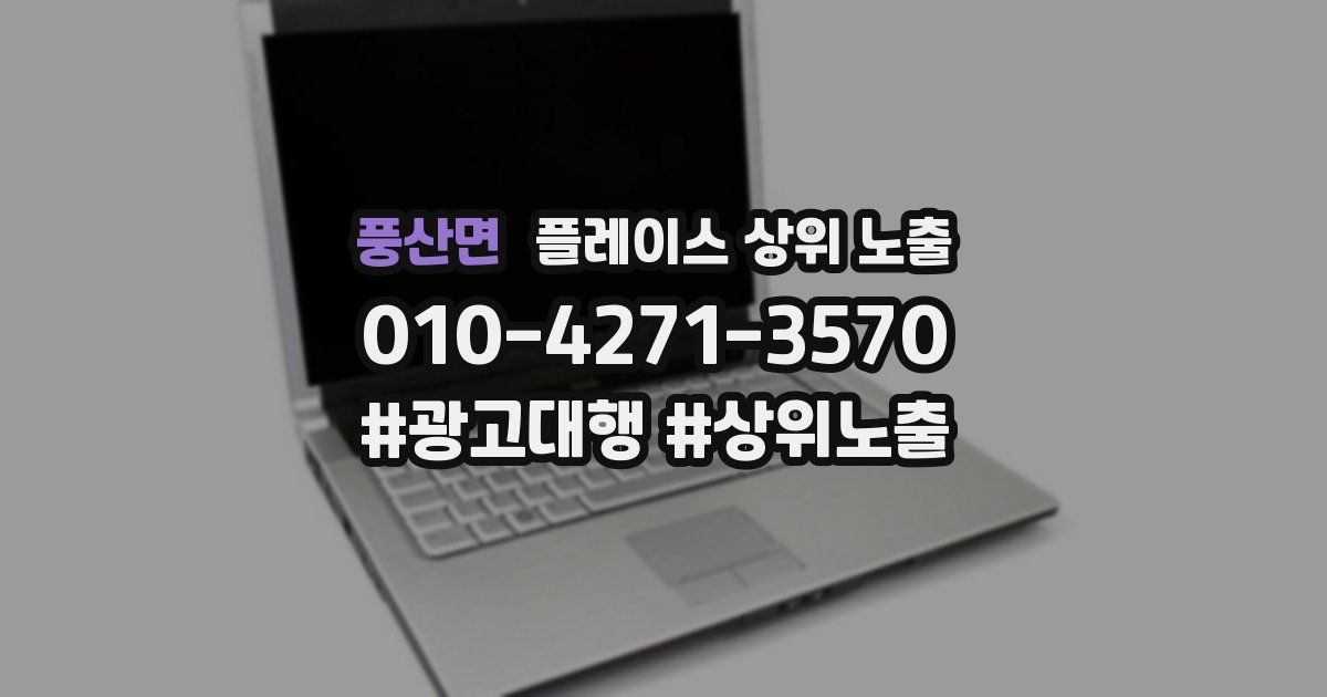 풍산면 플레이스 상위 노출