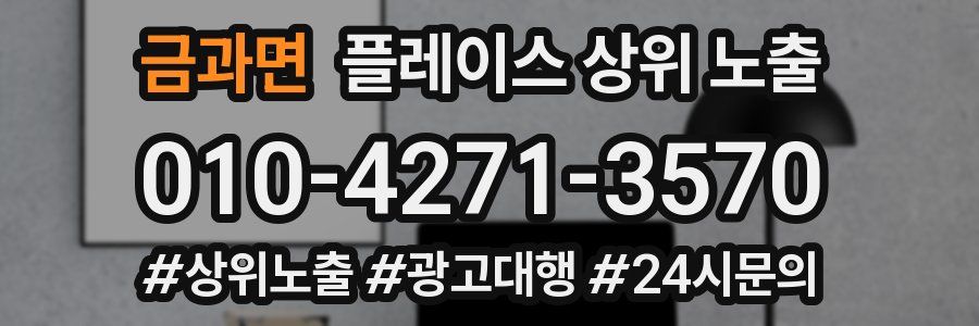 금과면 플레이스 상위 노출