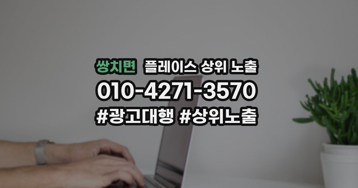 쌍치면 플레이스 상위 노출