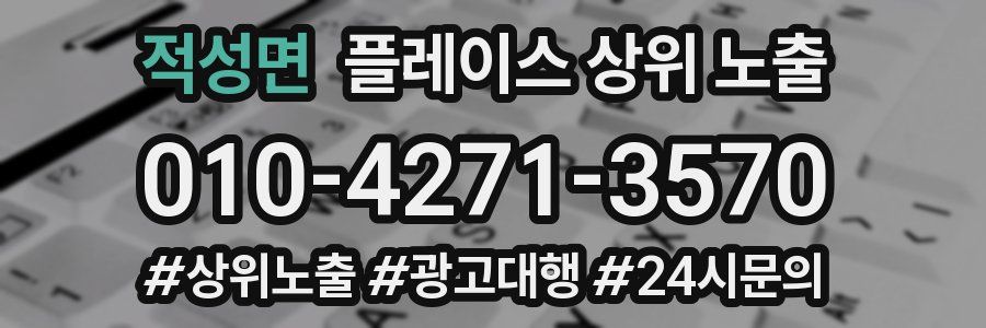 적성면 플레이스 상위 노출