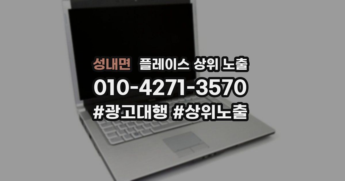 성내면 플레이스 상위 노출