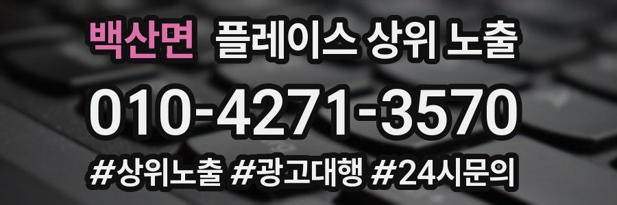 백산면 플레이스 상위 노출