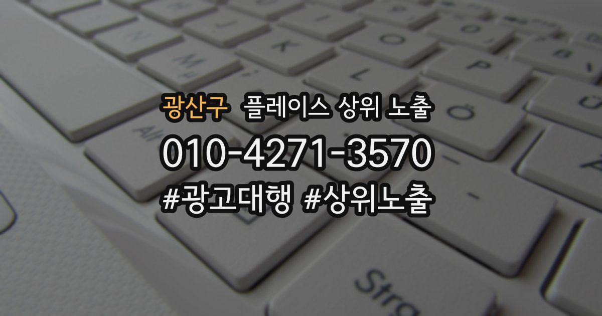 광산구 플레이스 상위 노출
