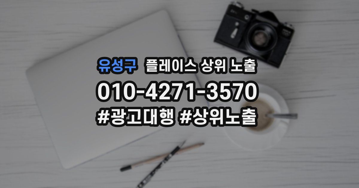 유성구 플레이스 상위 노출
