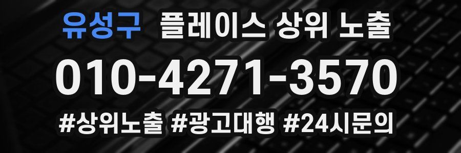 유성구 플레이스 상위 노출