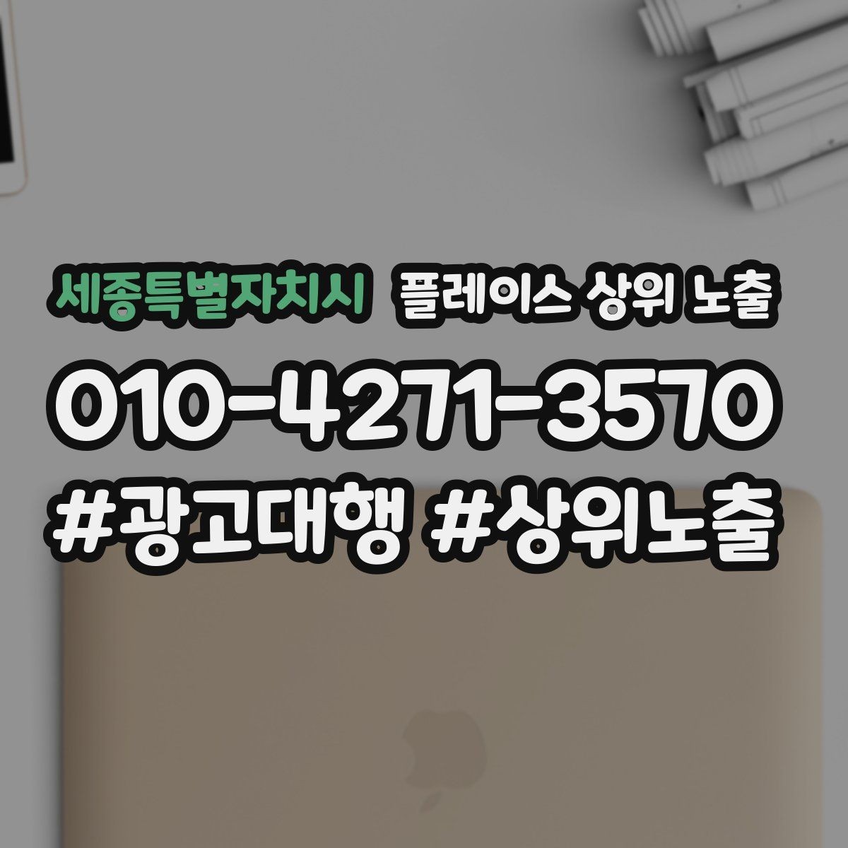 세종특별자치시 플레이스 상위 노출 인증 허가 정보가 필요한 업종 정리