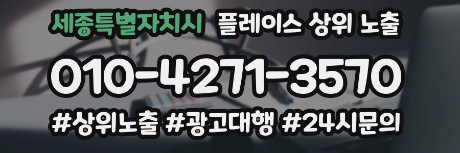 세종특별자치시 플레이스 상위 노출