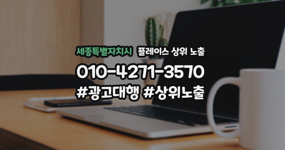 세종특별자치시 플레이스 상위 노출