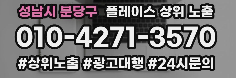 성남시 분당구 플레이스 상위 노출