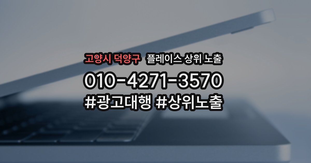 고양시 덕양구 플레이스 상위 노출