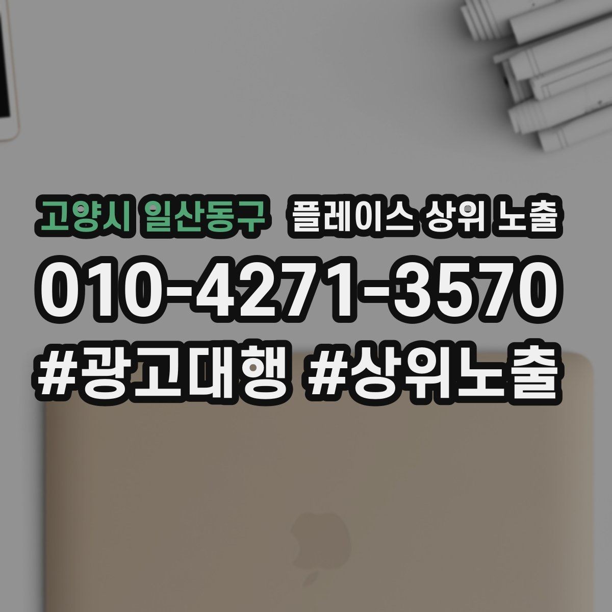 고양시 일산동구 플레이스 상위 노출 방문형 업종의 필수 정보 5가지