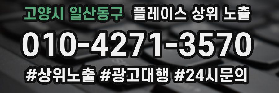 고양시 일산동구 플레이스 상위 노출