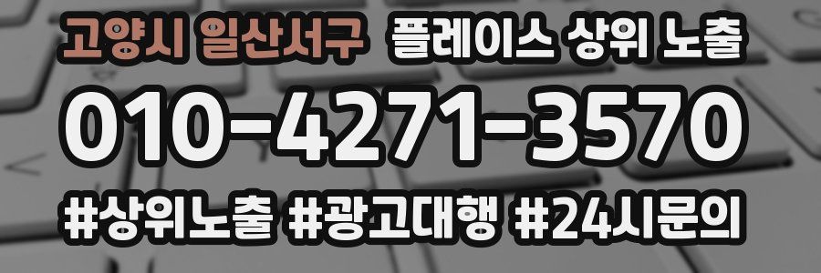 고양시 일산서구 플레이스 상위 노출