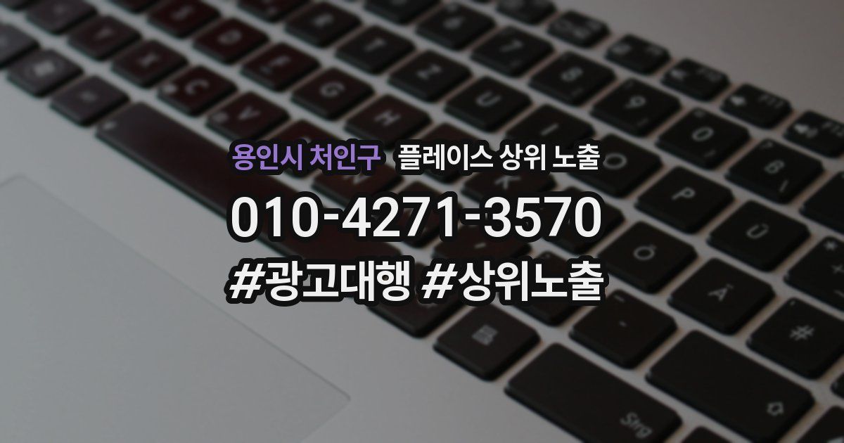 용인시 처인구 플레이스 상위 노출