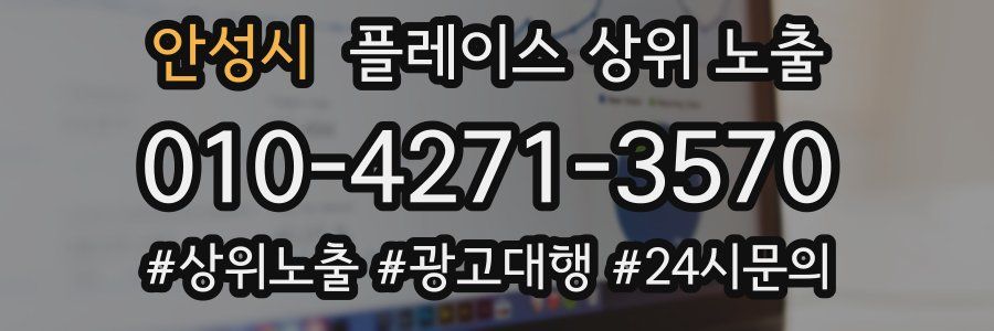 안성시 플레이스 상위 노출
