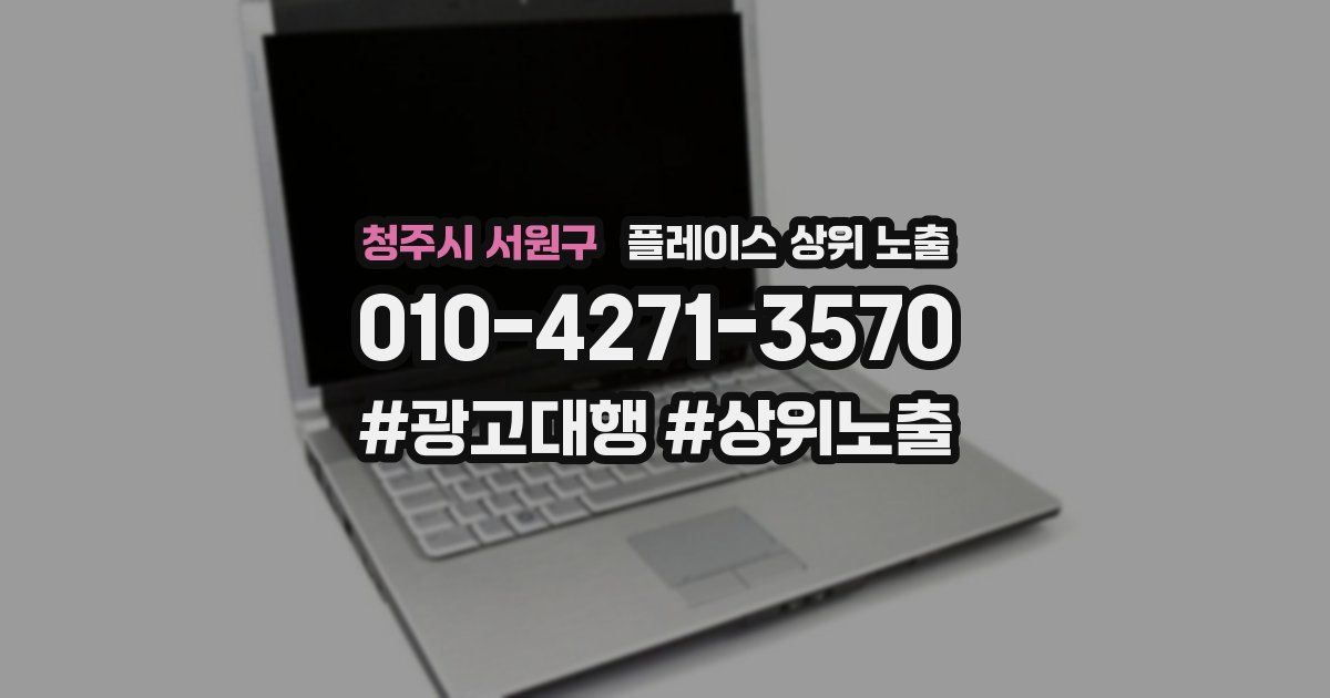 청주시 서원구 플레이스 상위 노출