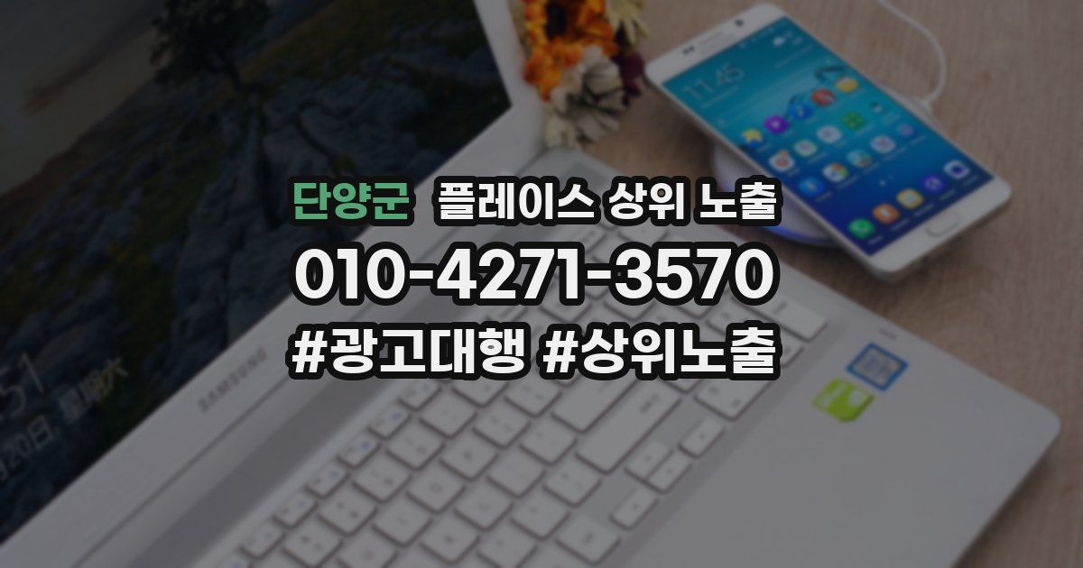 단양군 플레이스 상위 노출