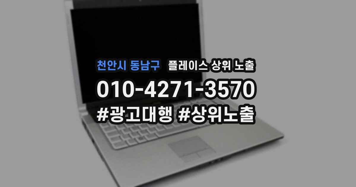 천안시 동남구 플레이스 상위 노출