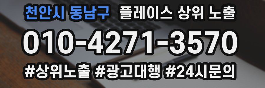 천안시 동남구 플레이스 상위 노출