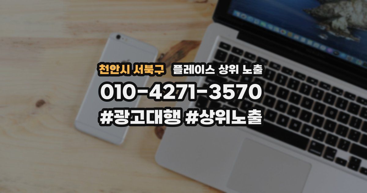 천안시 서북구 플레이스 상위 노출
