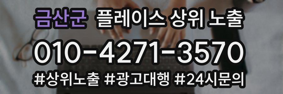 금산군 플레이스 상위 노출