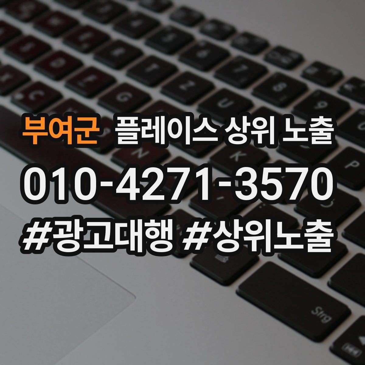 부여군 플레이스 상위 노출 견적형 업종의 플레이스 구성 포인트