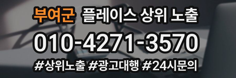 부여군 플레이스 상위 노출