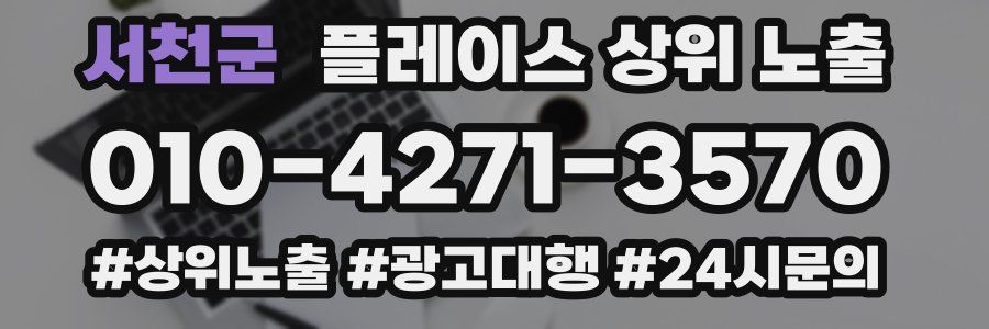 서천군 플레이스 상위 노출