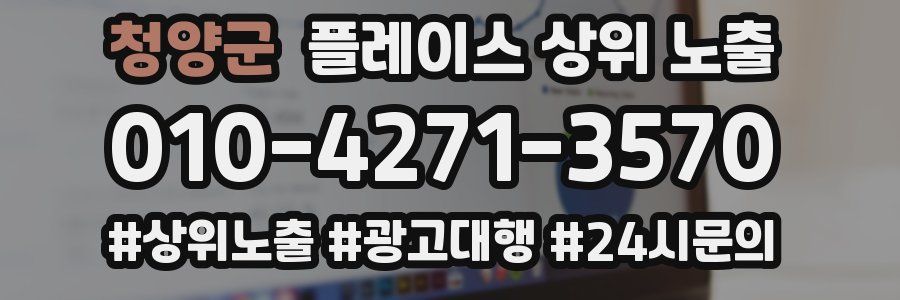 청양군 플레이스 상위 노출