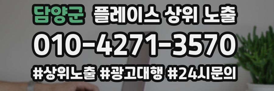 담양군 플레이스 상위 노출