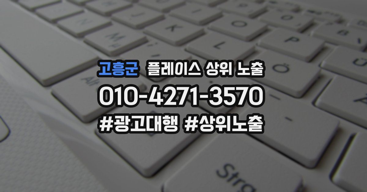 고흥군 플레이스 상위 노출