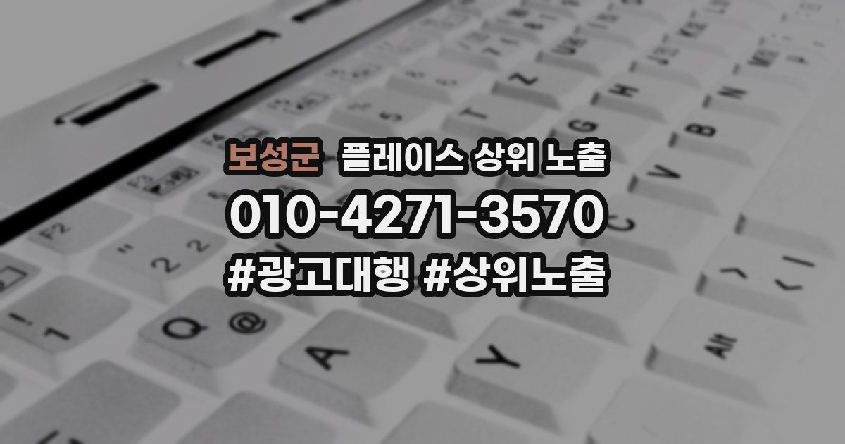 보성군 플레이스 상위 노출