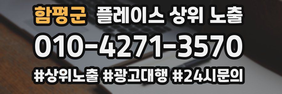 함평군 플레이스 상위 노출