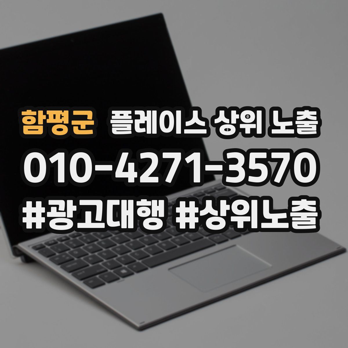 함평군 플레이스 상위 노출