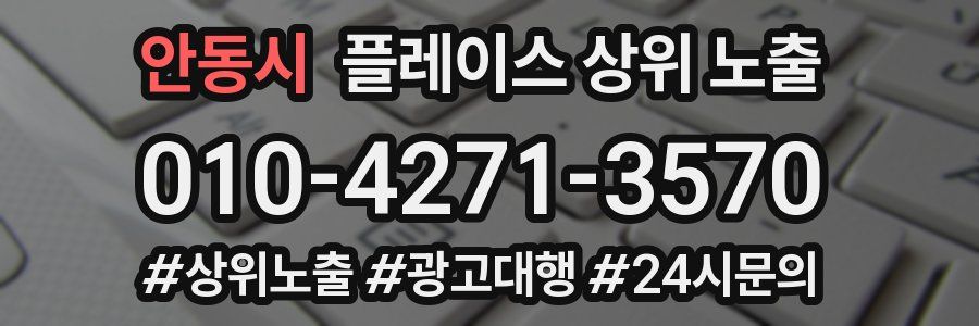 안동시 플레이스 상위 노출