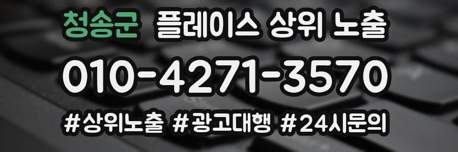 청송군 플레이스 상위 노출