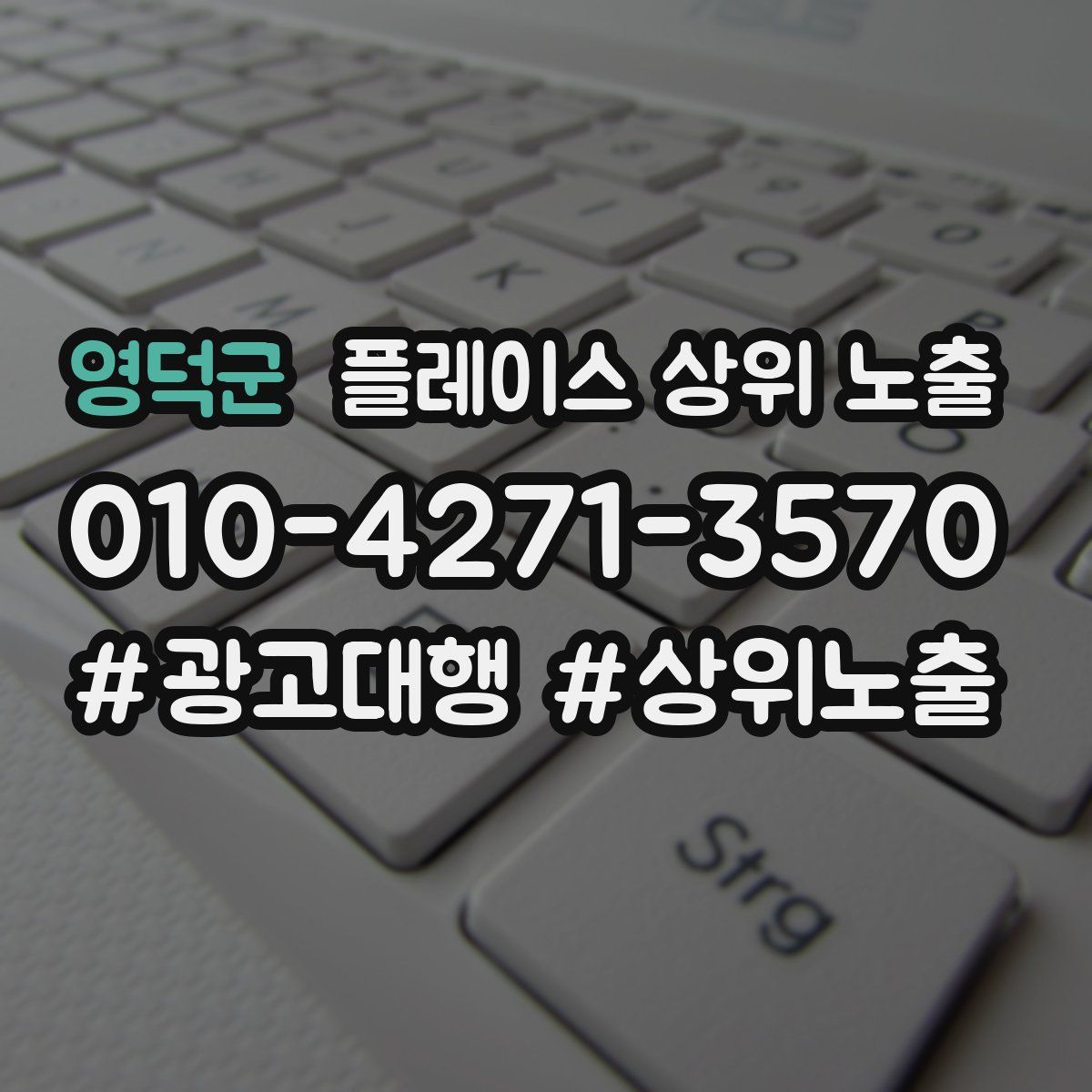 영덕군 플레이스 상위 노출