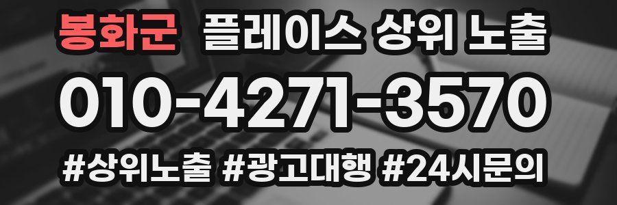 봉화군 플레이스 상위 노출