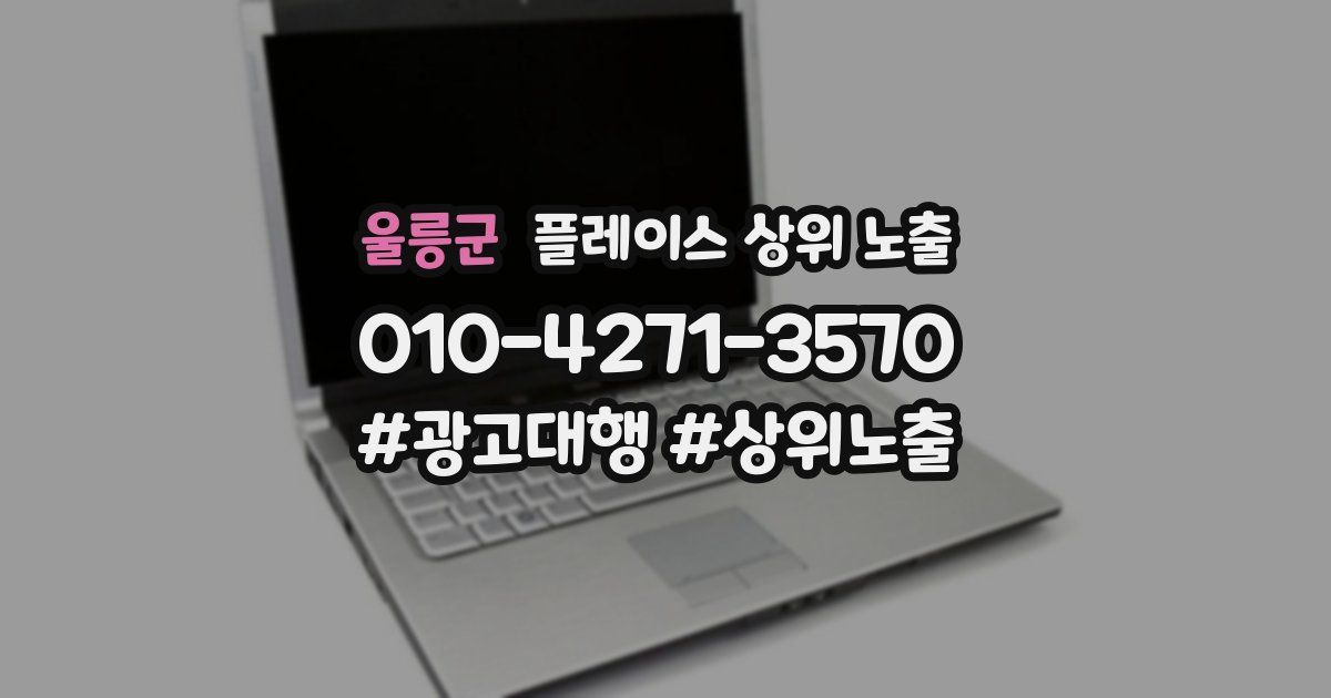 울릉군 플레이스 상위 노출