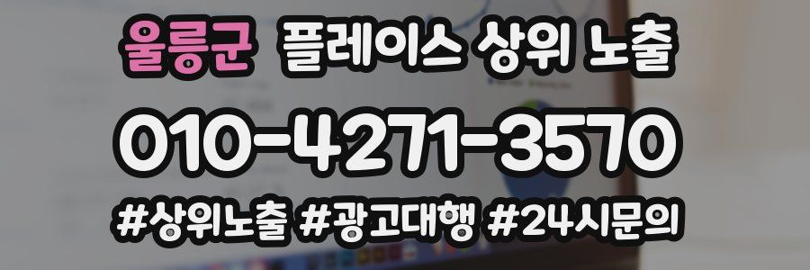 울릉군 플레이스 상위 노출