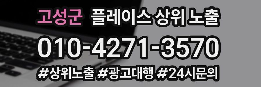고성군 플레이스 상위 노출