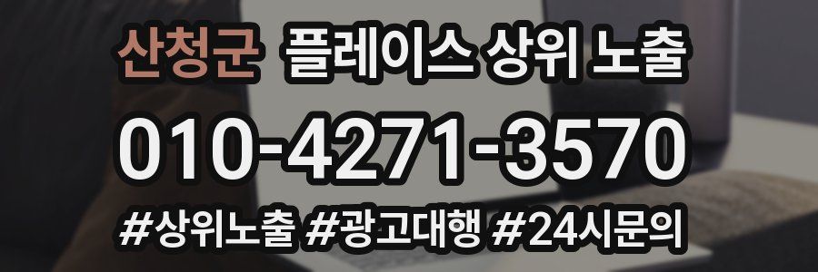 산청군 플레이스 상위 노출